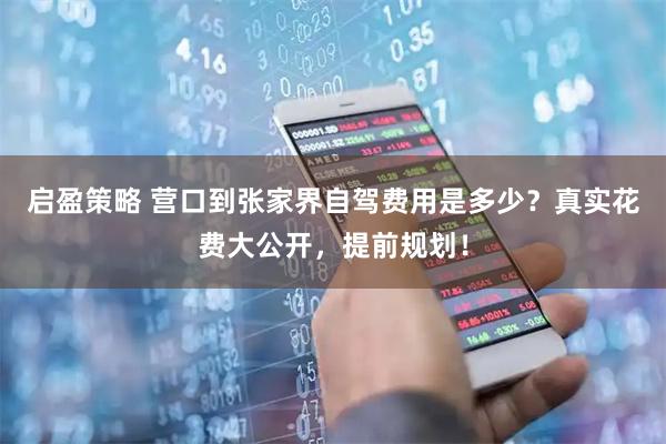 启盈策略 营口到张家界自驾费用是多少？真实花费大公开，提前规划！