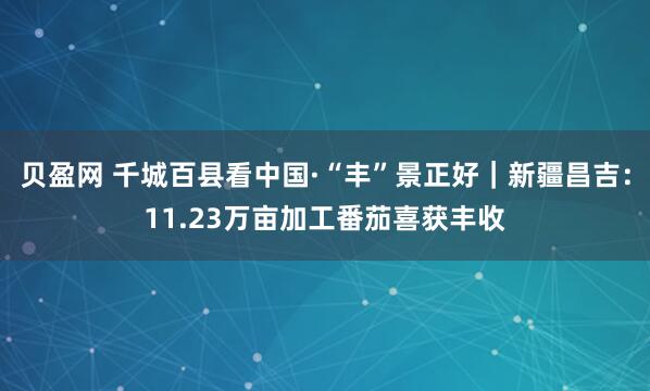贝盈网 千城百县看中国·“丰”景正好｜新疆昌吉：11.23万亩加工番茄喜获丰收