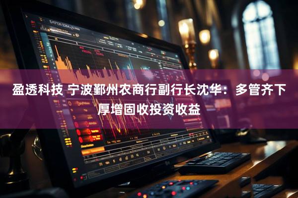 盈透科技 宁波鄞州农商行副行长沈华：多管齐下厚增固收投资收益