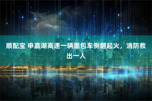 顺配宝 申嘉湖高速一辆面包车侧翻起火，消防救出一人