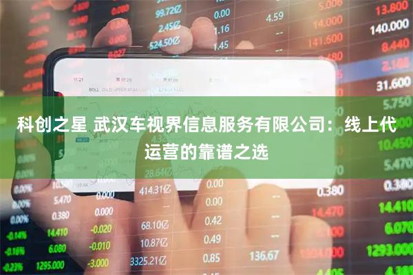 科创之星 武汉车视界信息服务有限公司：线上代运营的靠谱之选