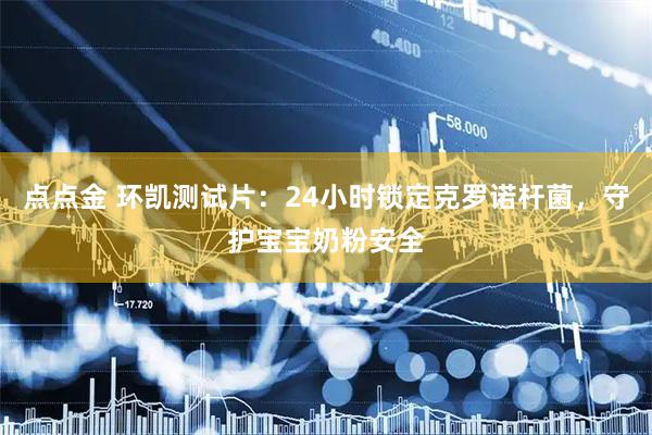 点点金 环凯测试片：24小时锁定克罗诺杆菌，守护宝宝奶粉安全
