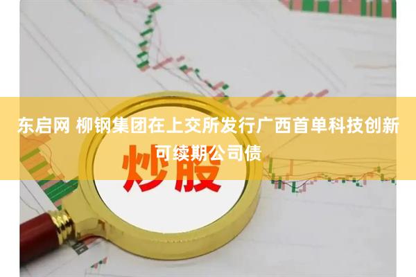 东启网 柳钢集团在上交所发行广西首单科技创新可续期公司债
