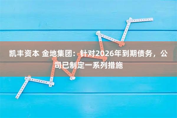 凯丰资本 金地集团：针对2026年到期债务，公司已制定一系列措施
